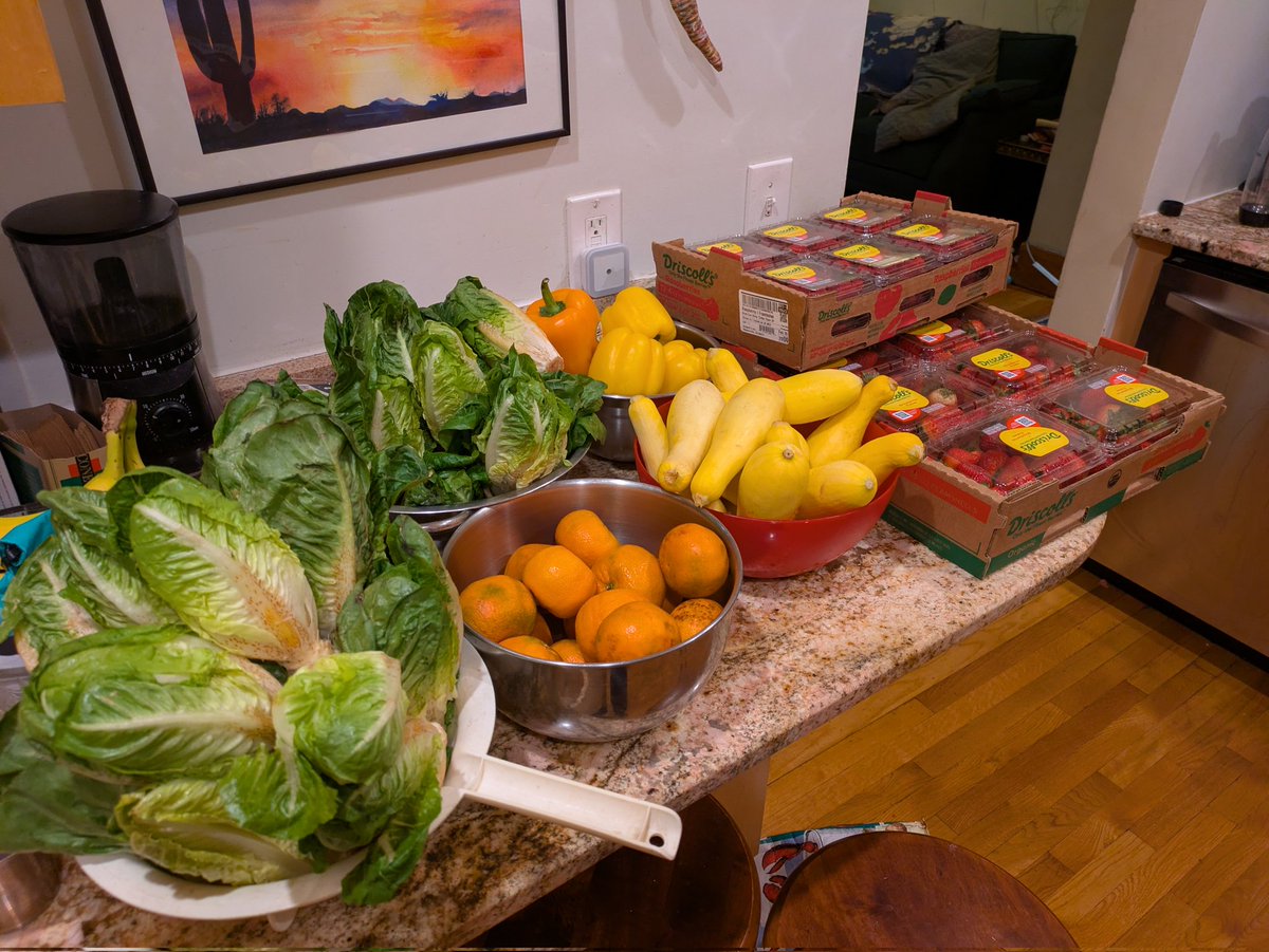 Amy the Amazonian ☕ 💕 🤖 tweet media