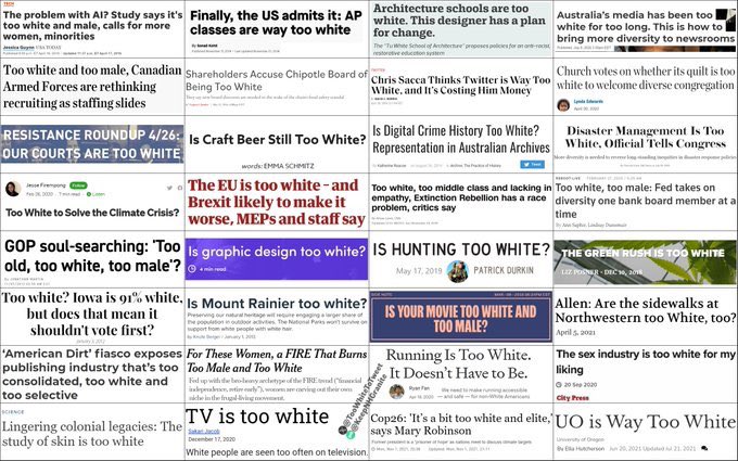 SpiritChaser MAGA 🇺🇸❤️ tweet media