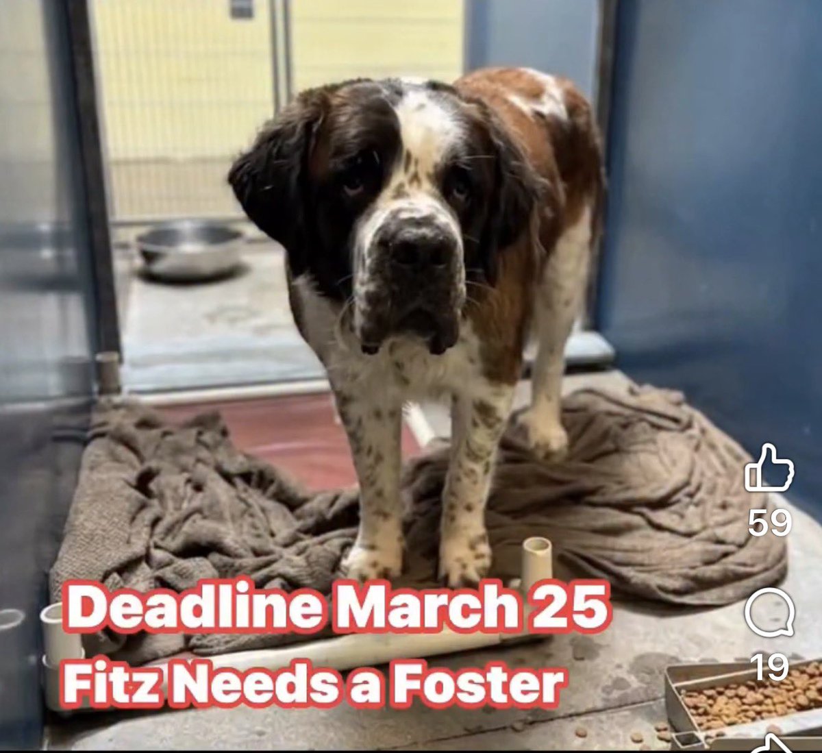 RevaliTheBerner tweet media