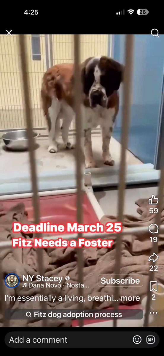 RevaliTheBerner tweet media