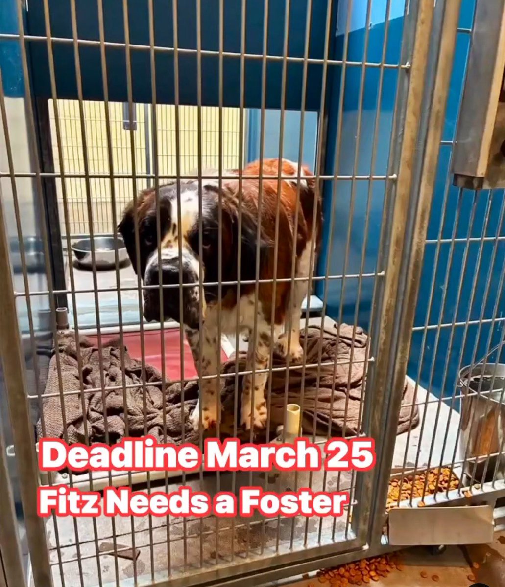 RevaliTheBerner tweet media