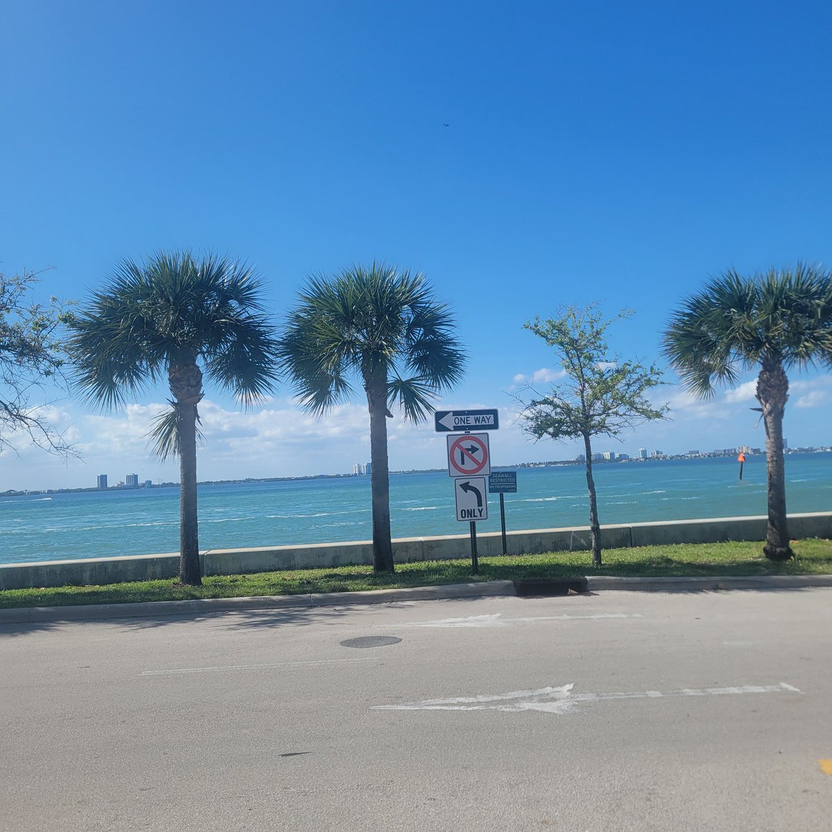 Coffie_Anyone?🏁🇧🇸🌻🐞🐍 tweet media