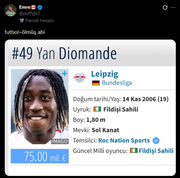 Almanya'dan Futbol tweet media