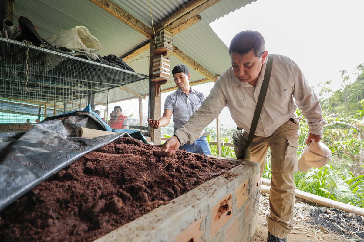 Midis Foncodes tweet media