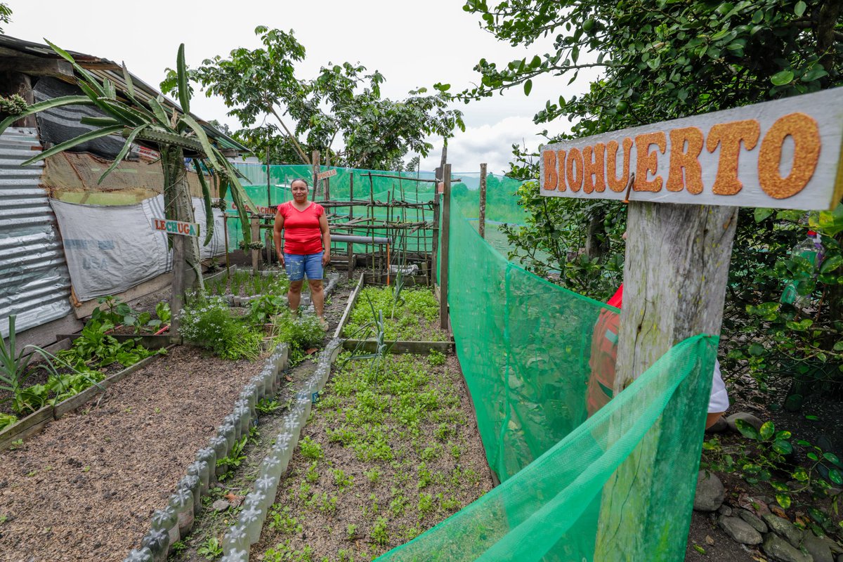 Midis Foncodes tweet media