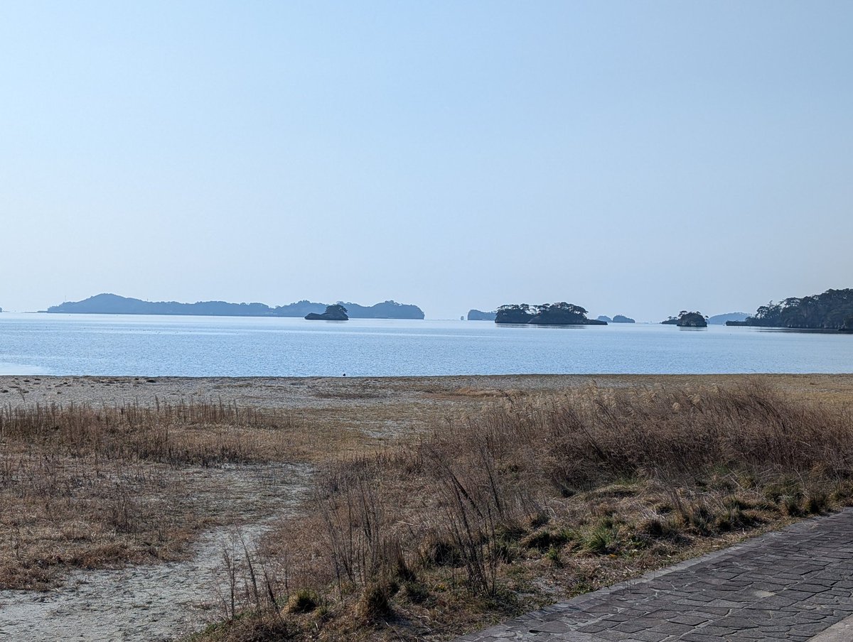 Z (・a・)なる㌠@e&e!!🔞 tweet media