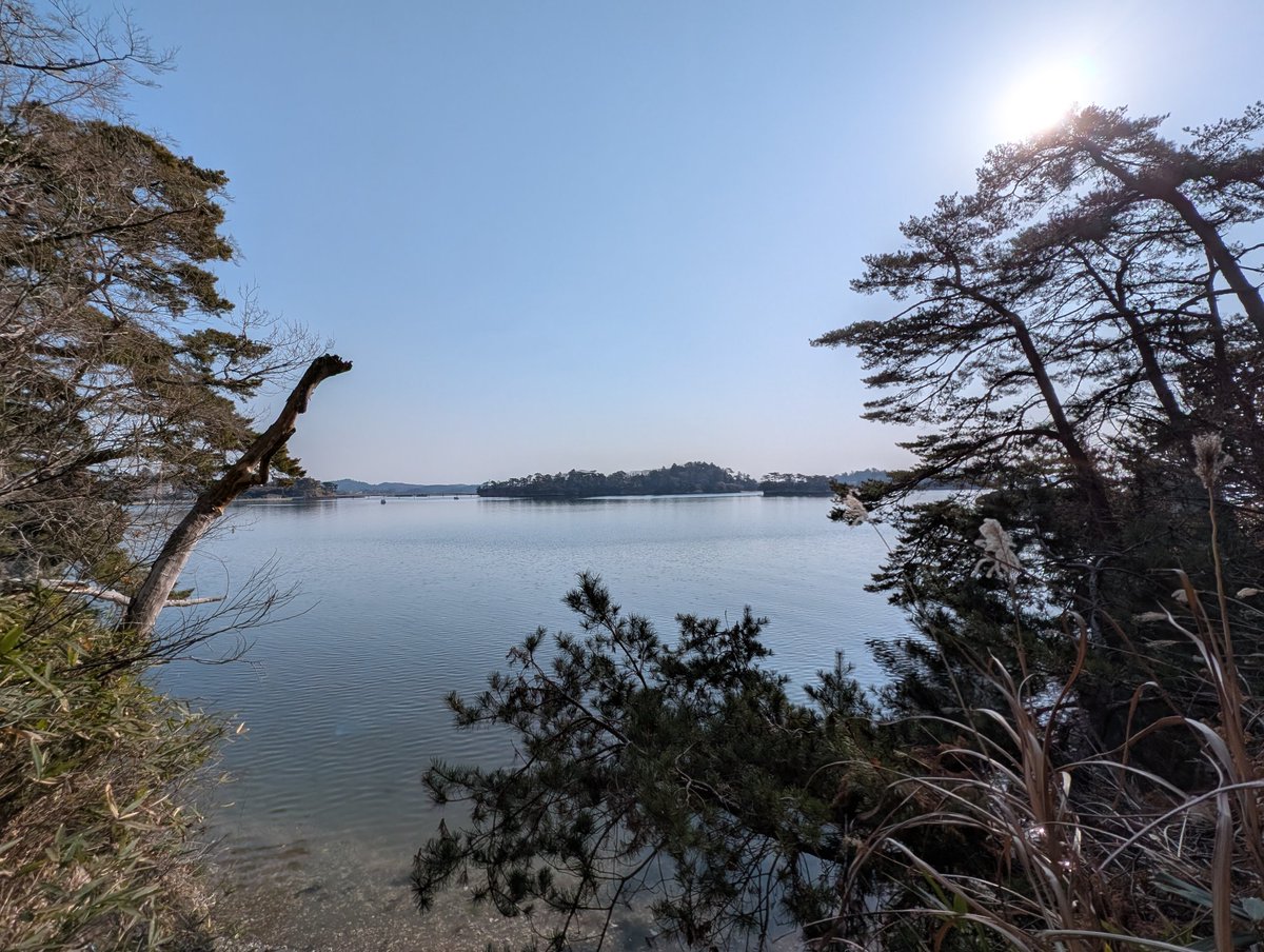 Z (・a・)なる㌠@e&e!!🔞 tweet media