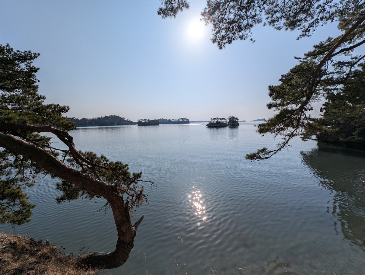 Z (・a・)なる㌠@e&e!!🔞 tweet media