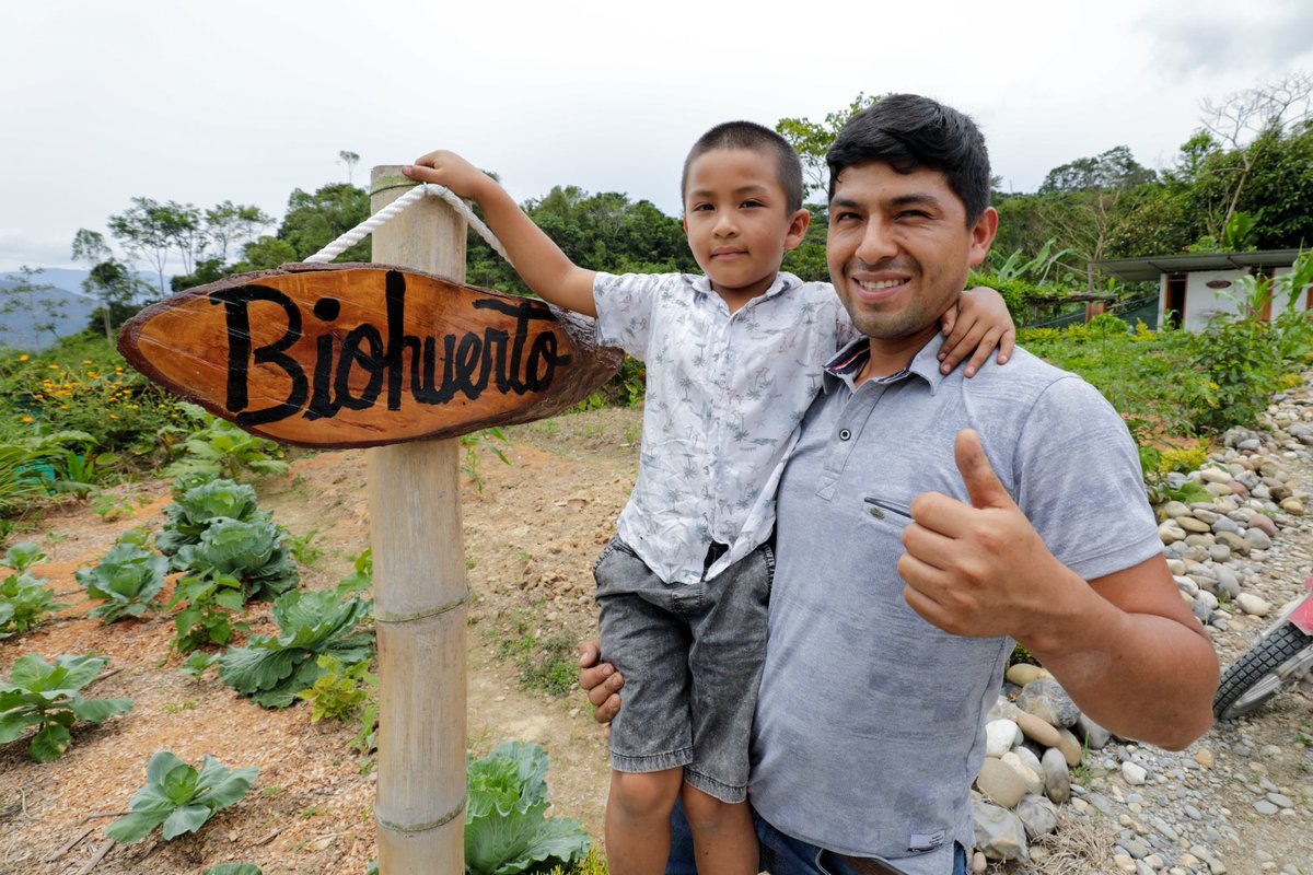 Midis Foncodes tweet media