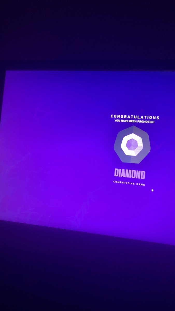 𑣲 esme tweet media