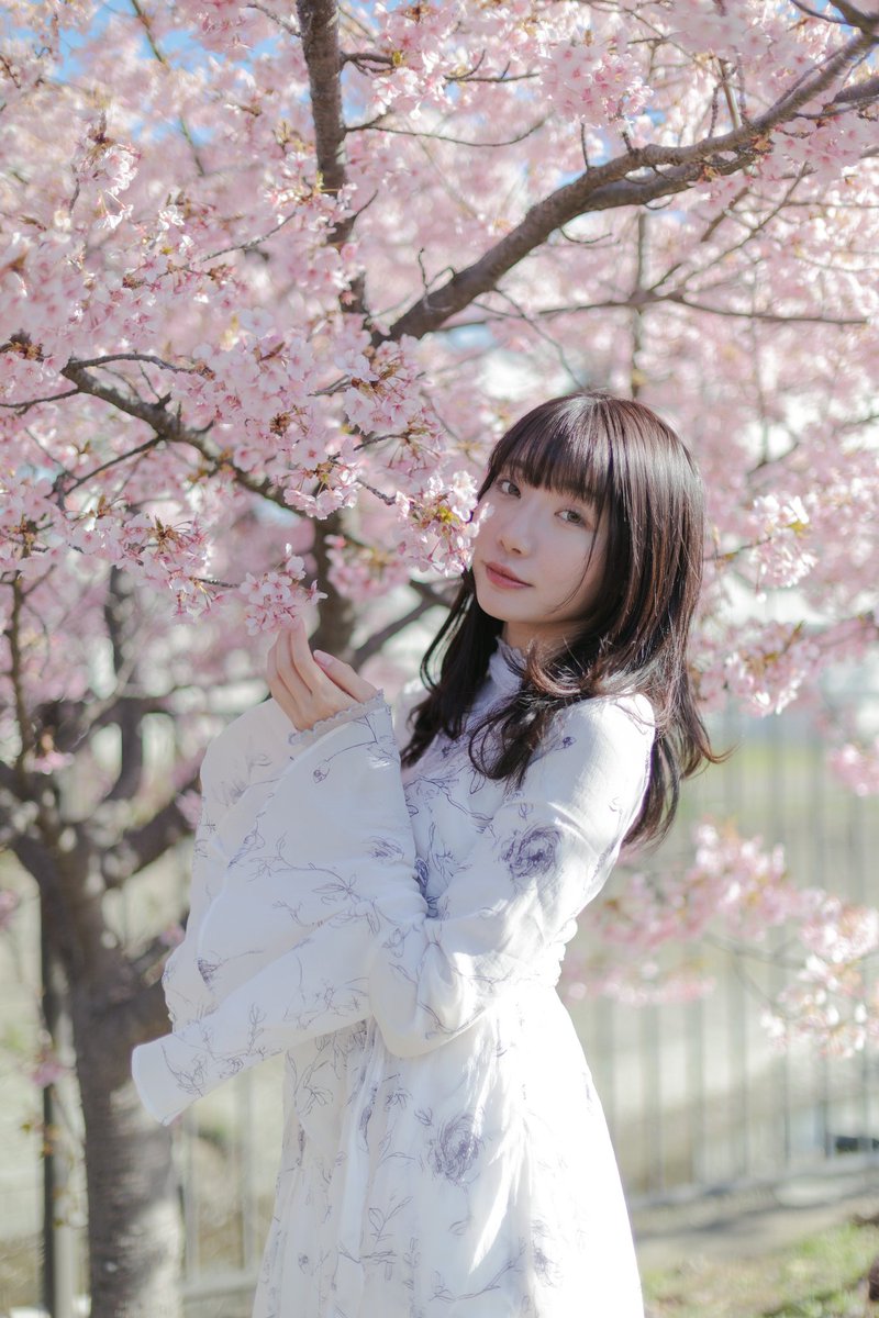 Model  大坂あいさん
#ピスタ撮影会
<a href="/Pista_portrait/">ピスタ｜ポートレート&グラビア</a>
#ポートレート #Portrait
#ポートレート好きな人と繋がりたい
#桜