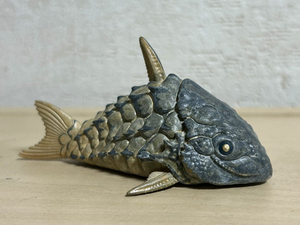 nao70shark tweet media