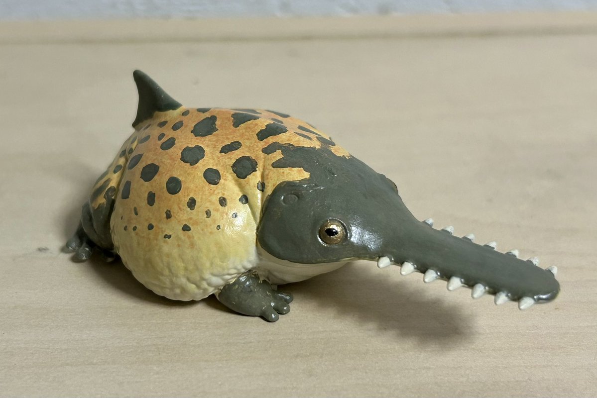 nao70shark tweet media