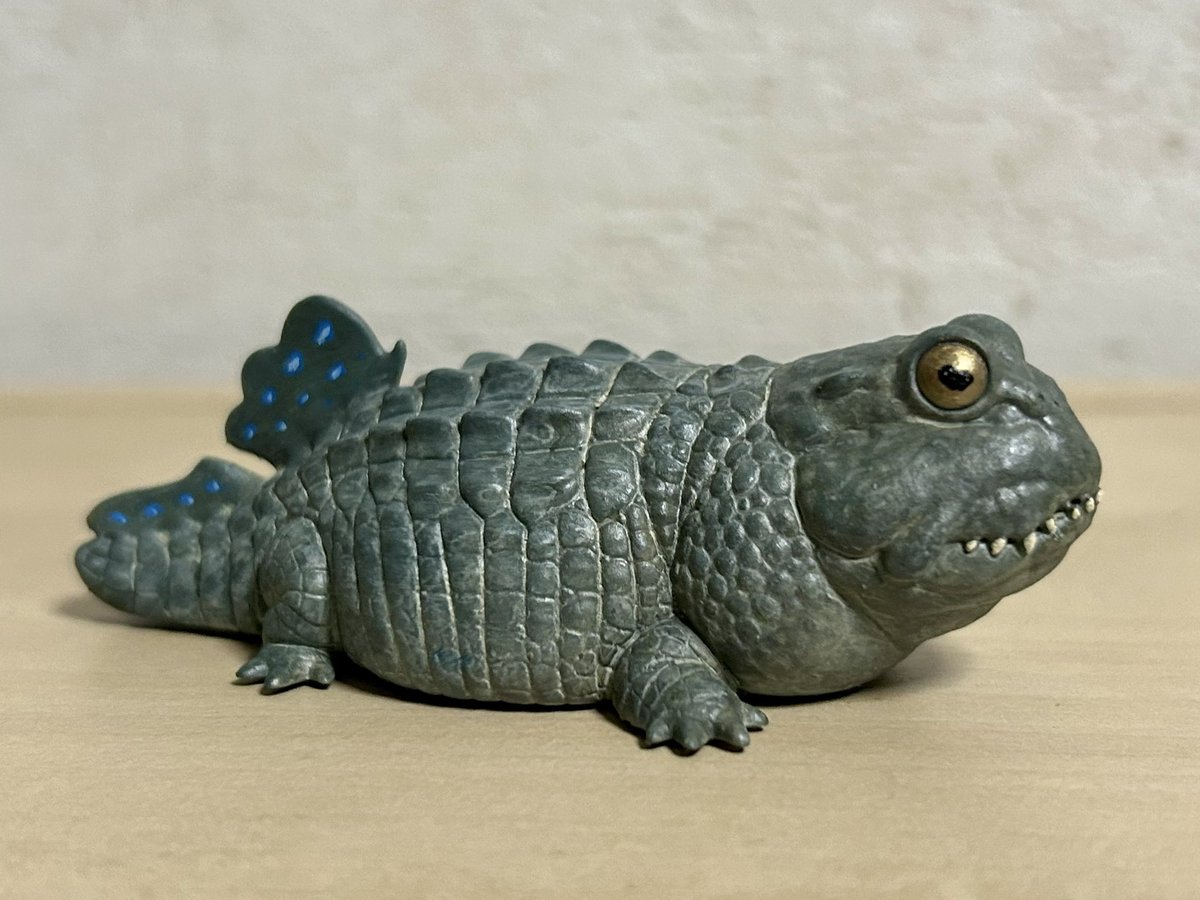 nao70shark tweet media