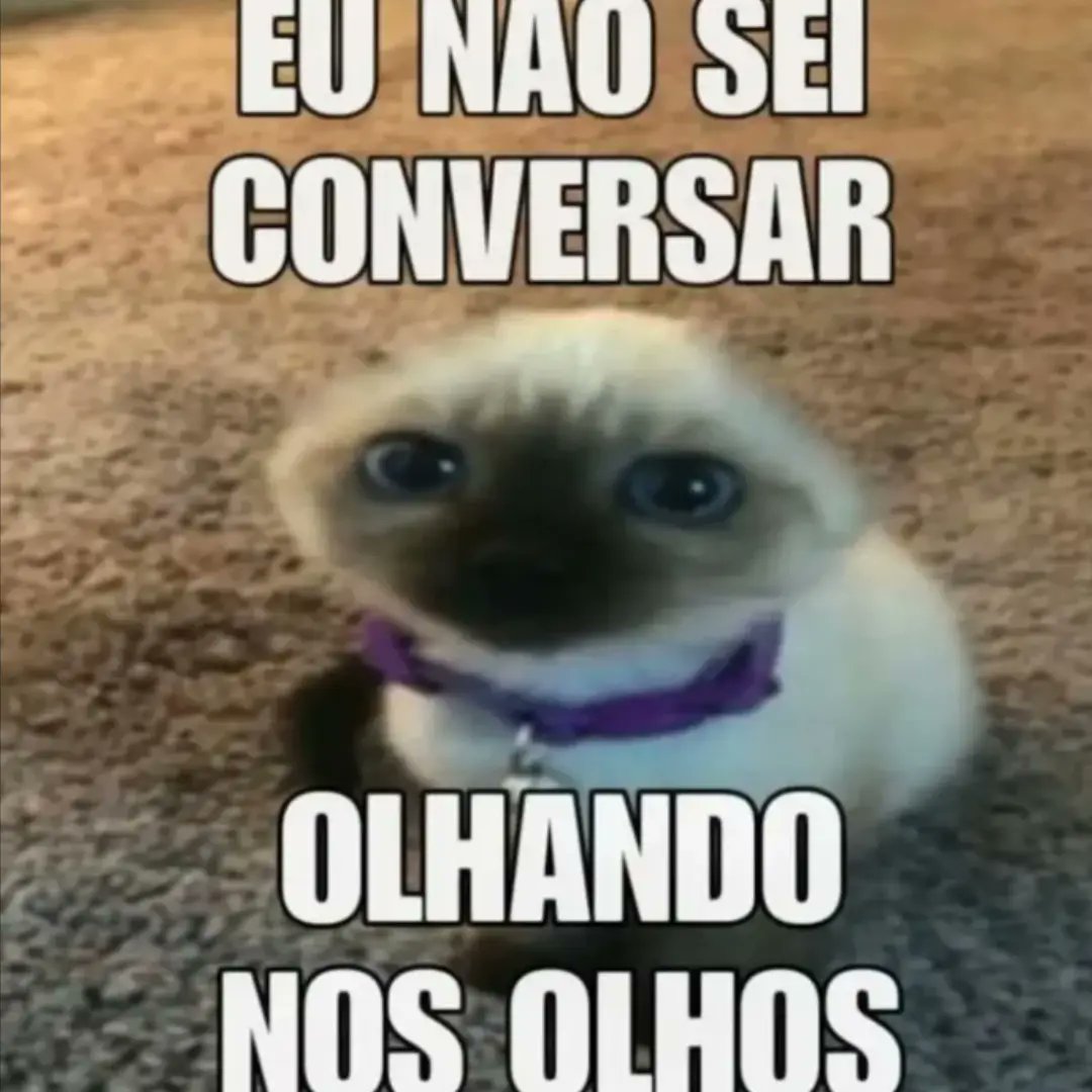 Frases em baixa qualidade tweet media