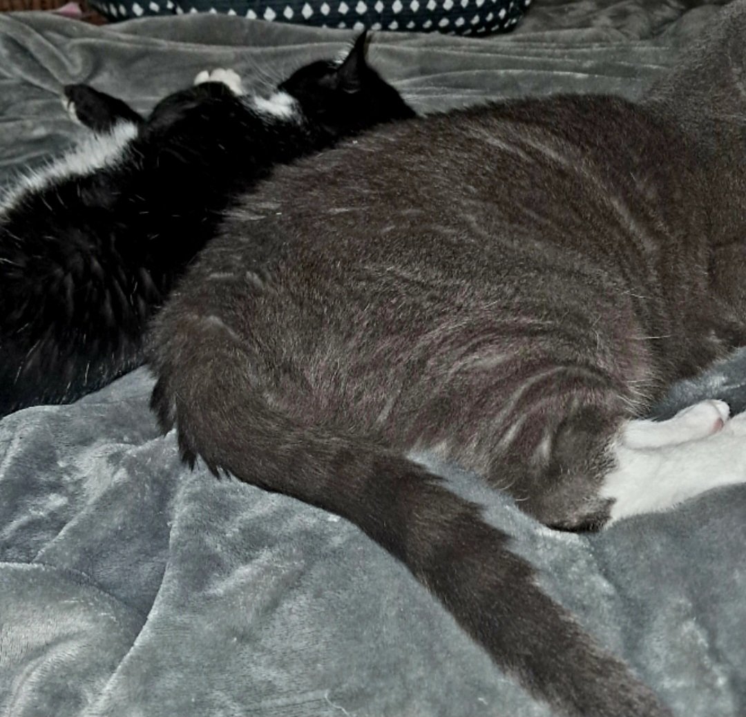 Brian Francis Nearey tweet media