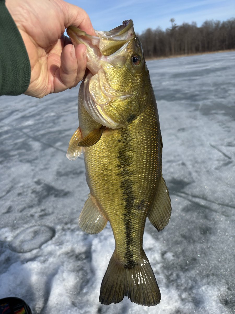 Tim Grady tweet media