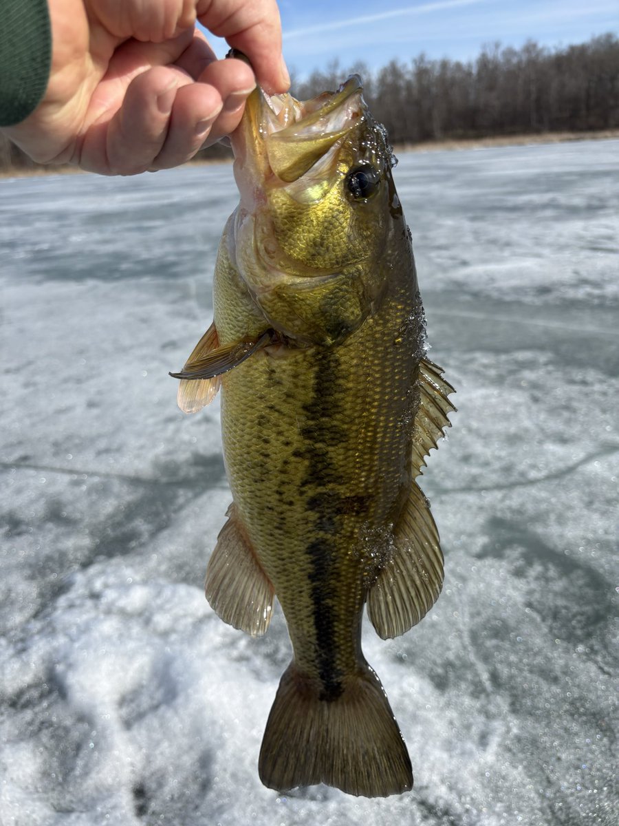 Tim Grady tweet media