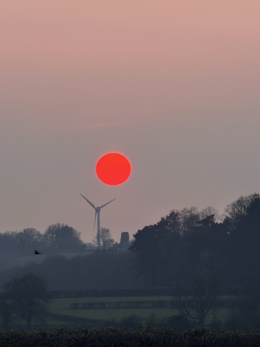 bethccfc08's tweet photo. Caught the most beautiful sun today absolutely mesmerising❤️🧡 #sun #sunset #redsun https://t.co/LCB7RoBD21