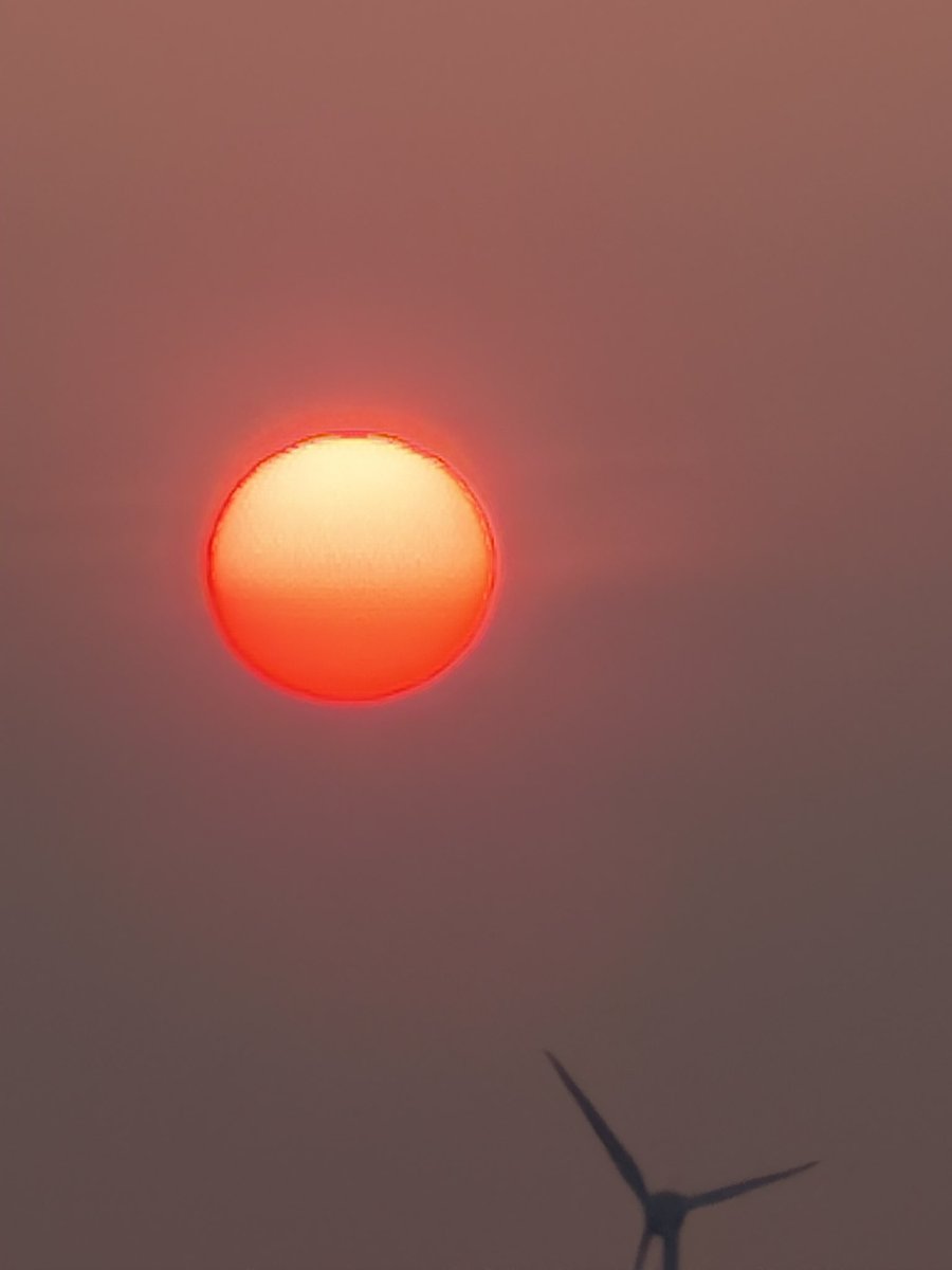 bethccfc08's tweet photo. Caught the most beautiful sun today absolutely mesmerising❤️🧡 #sun #sunset #redsun https://t.co/LCB7RoBD21