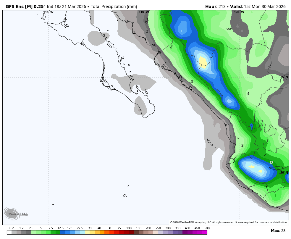 SinaStorm MX tweet media