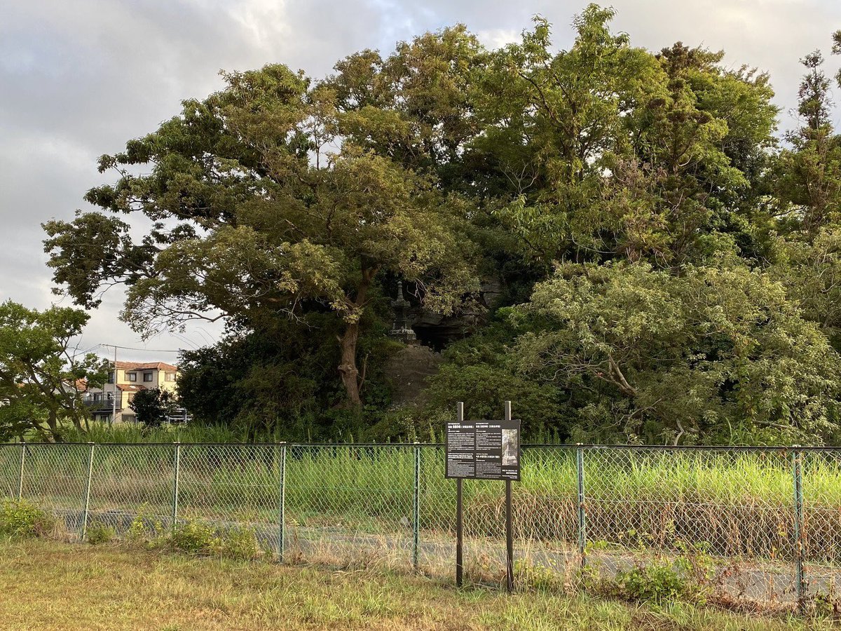 kago@鎌倉暮らし tweet media