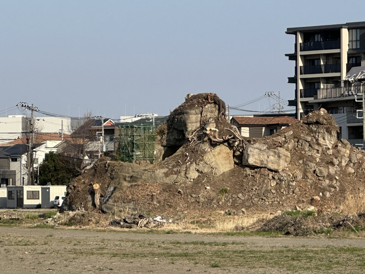 kago@鎌倉暮らし tweet media