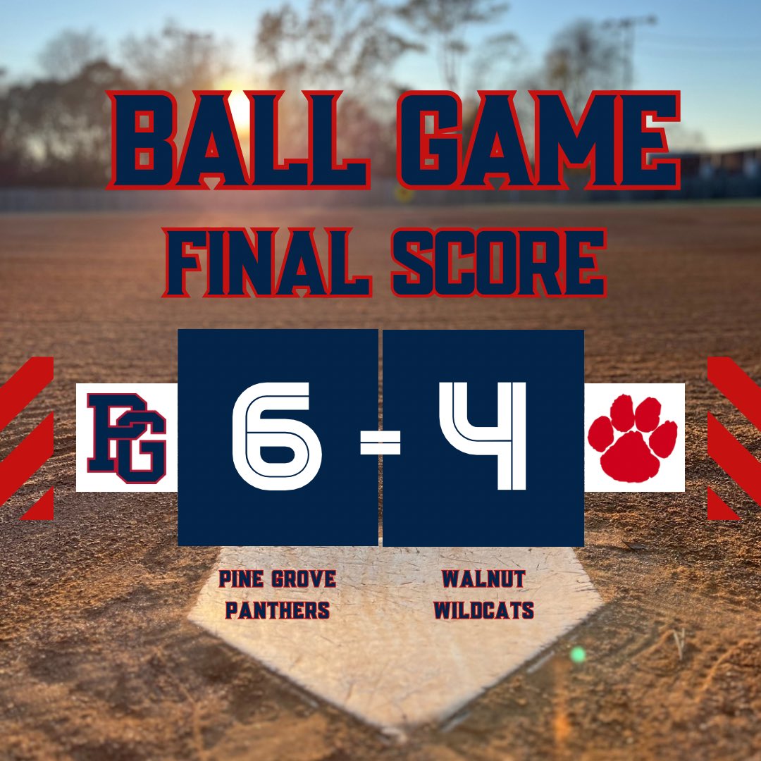 Pine Grove Softball tweet media