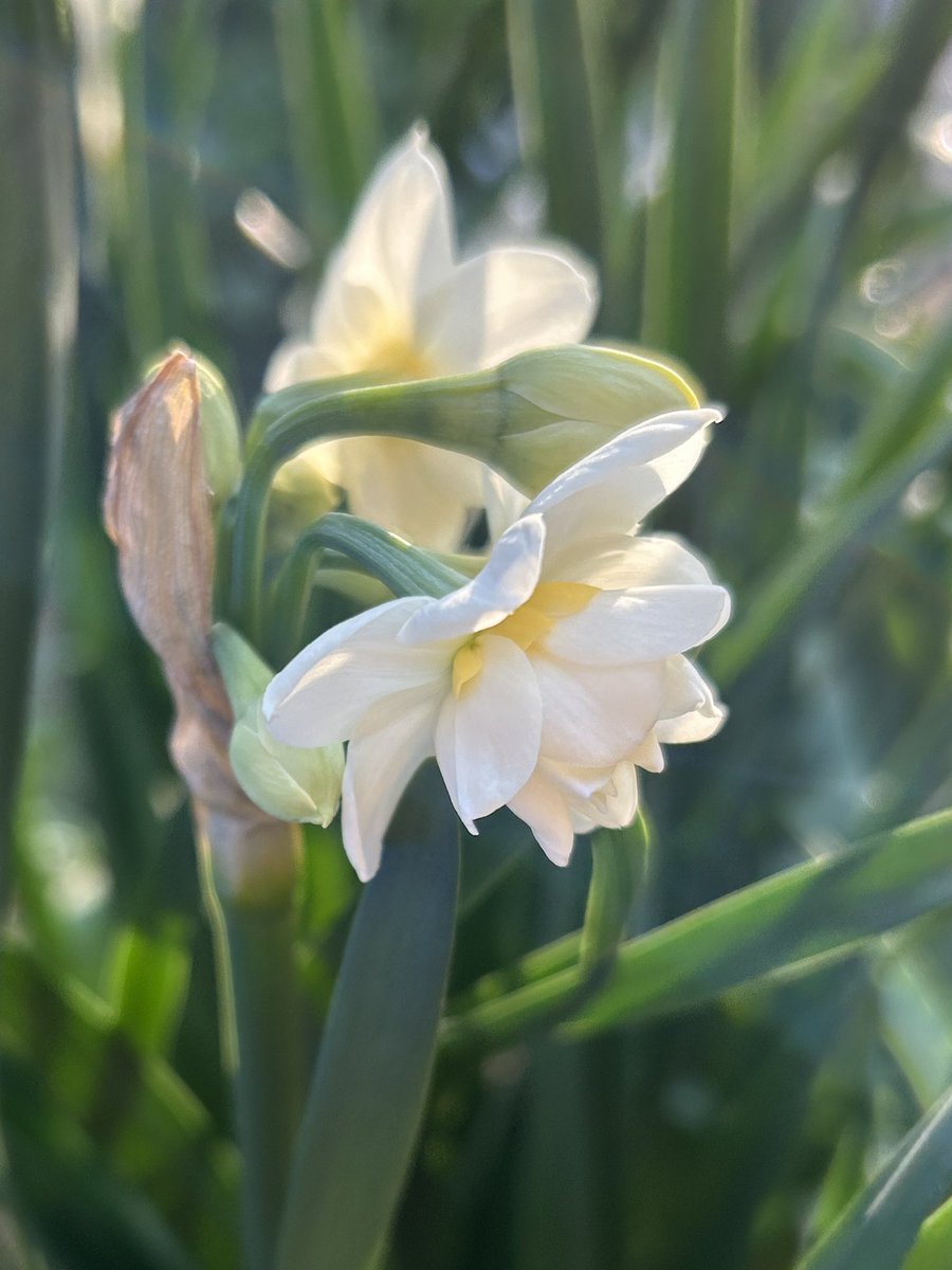 みさき tweet media