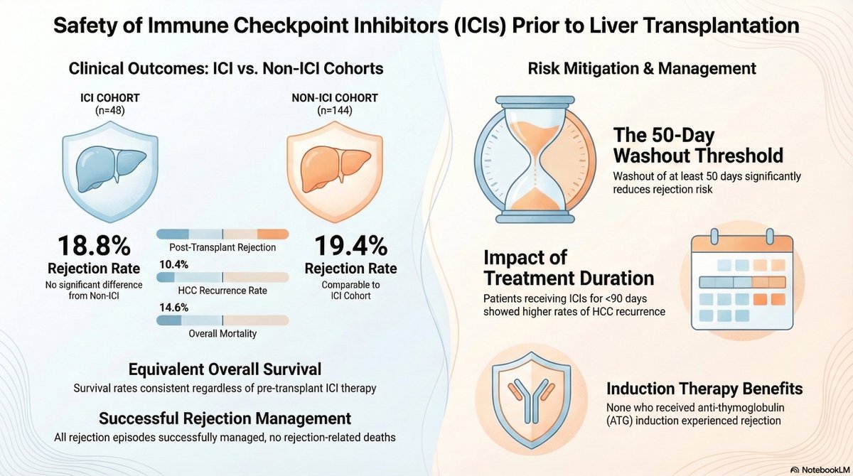 𝓨𝓪𝓼𝓪𝓻 𝓗𝓪𝓶𝓶𝓸𝓻 tweet media