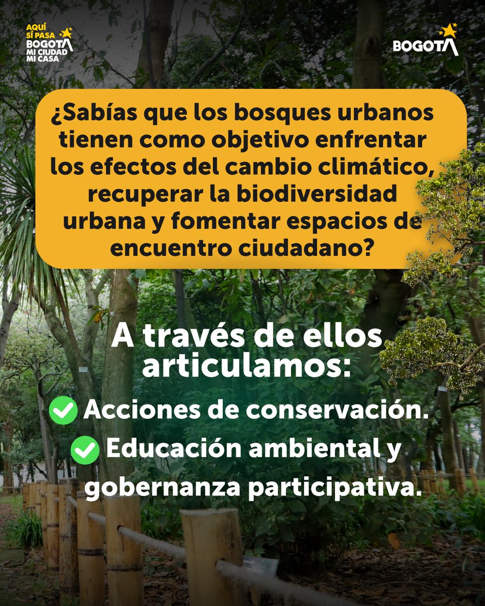 Secretaría de Ambiente tweet media