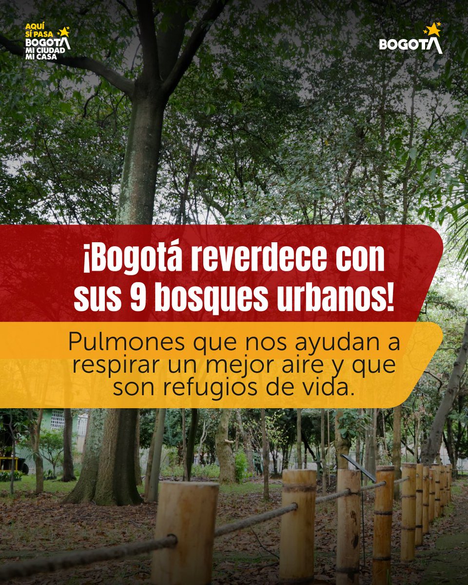 Secretaría de Ambiente tweet media