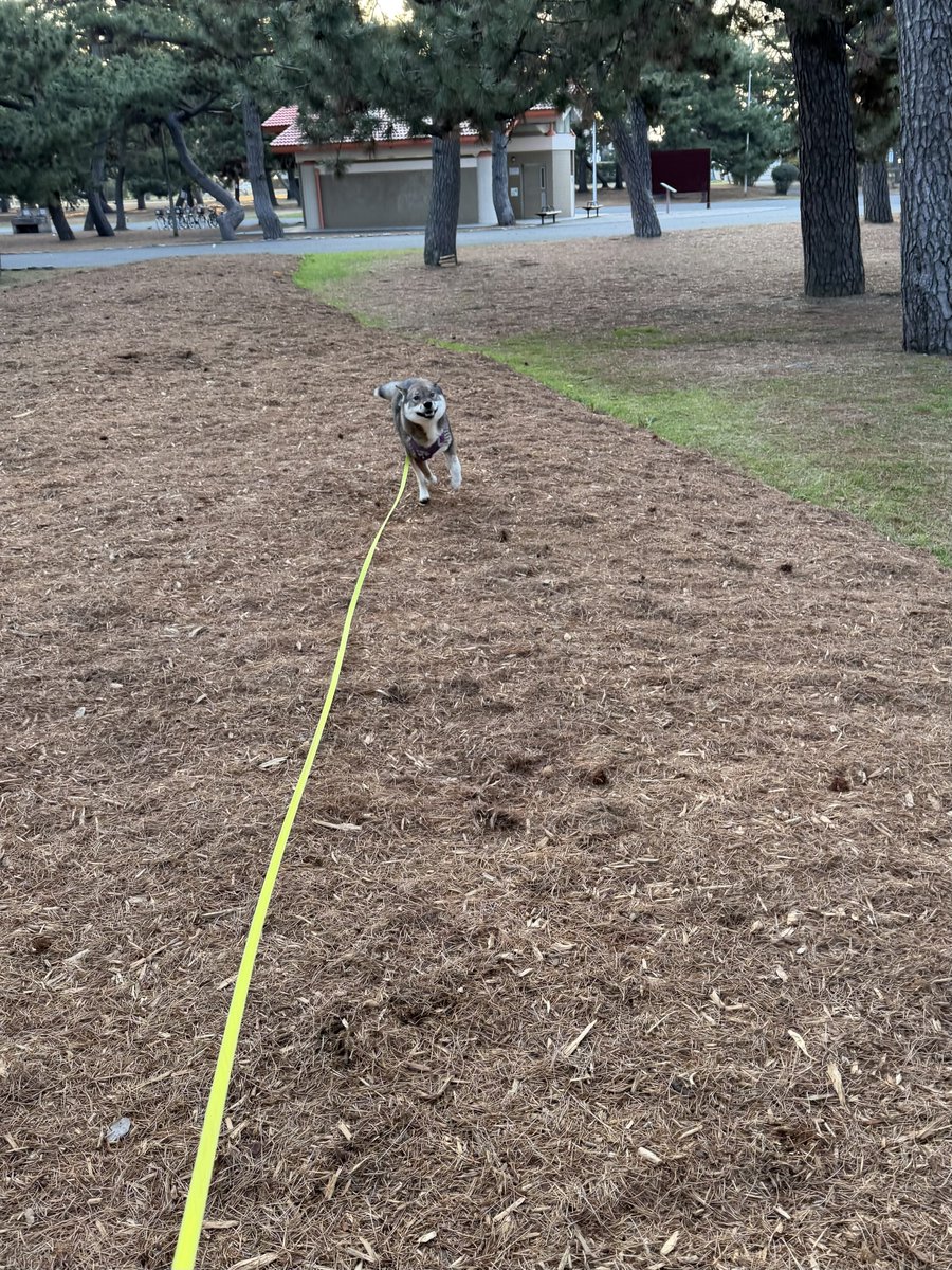 kichitada tweet media