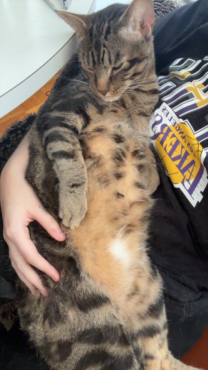 seraphicalrose's tweet image. #we are sat