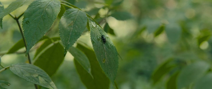 Stephen Gibbons tweet media