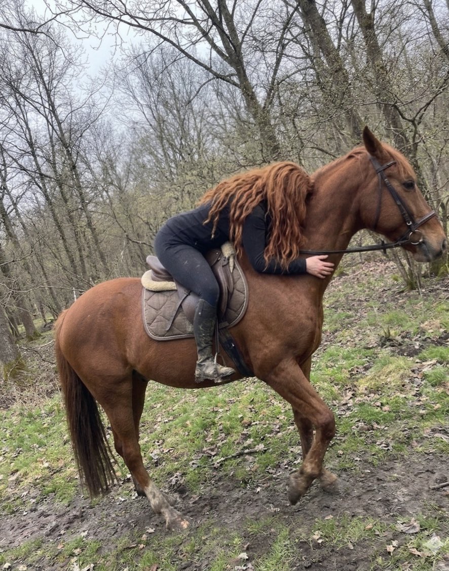 Goddess Klara tweet media