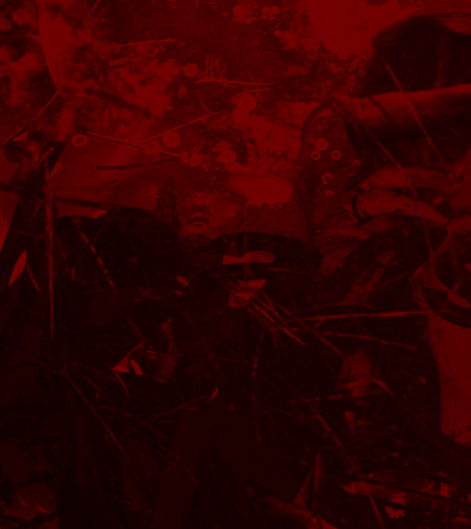 ‍ ‍ ‍ ‍‍ ‍ ‍ ‍ ‍ ‍ᅠ tweet media