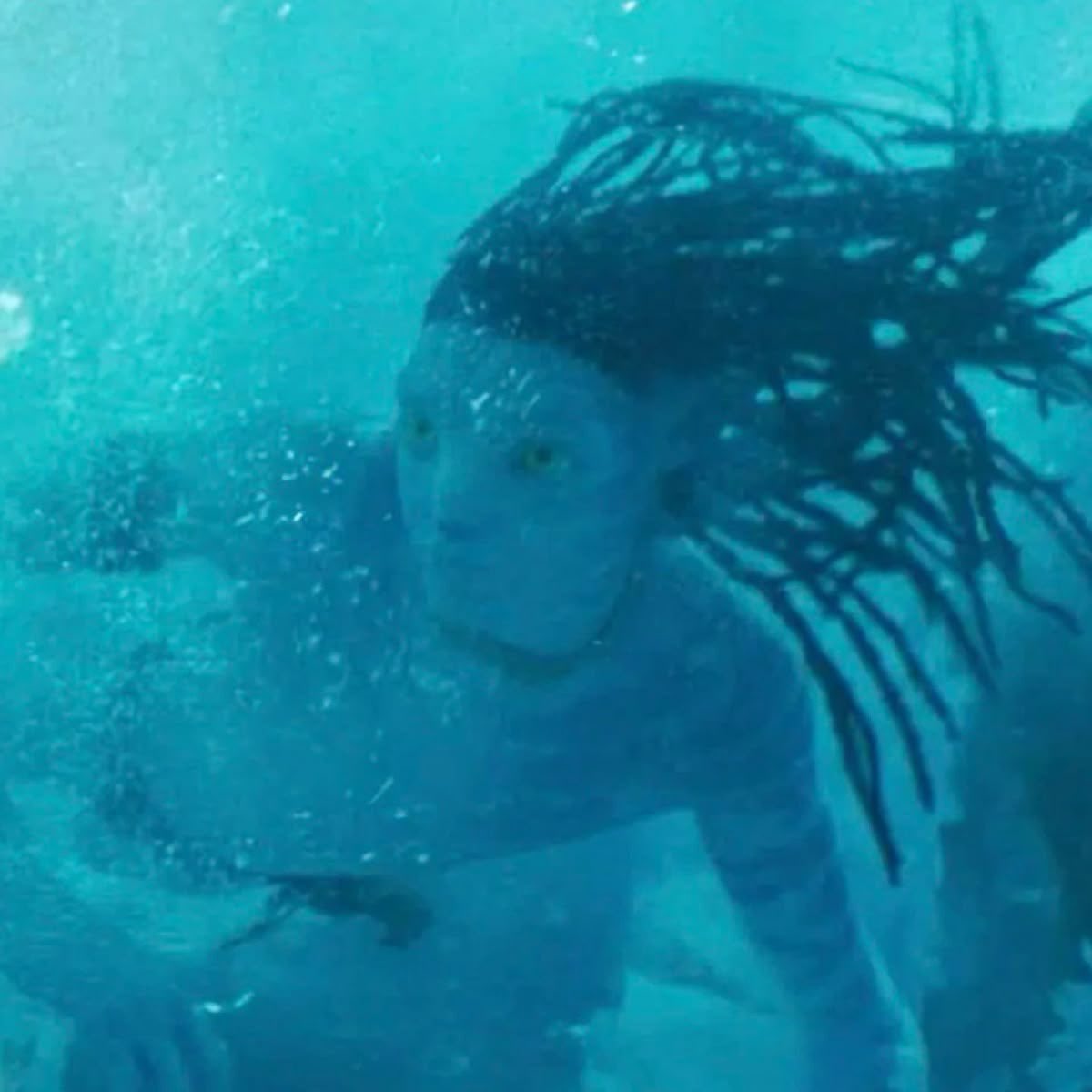 ❄ ayys tweet media