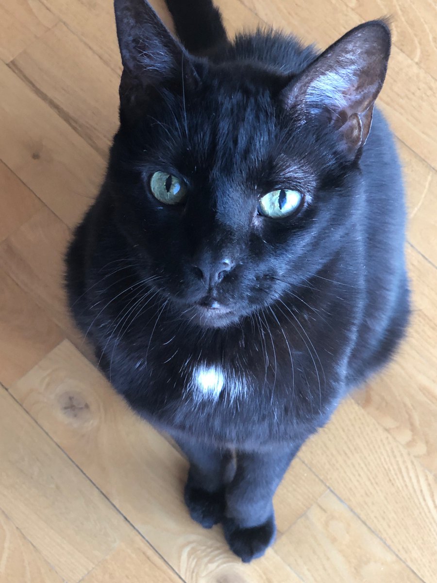 Modified Dow Theory Signals tweet media