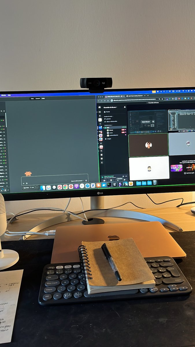 Matias Vallejos 🦎 tweet media