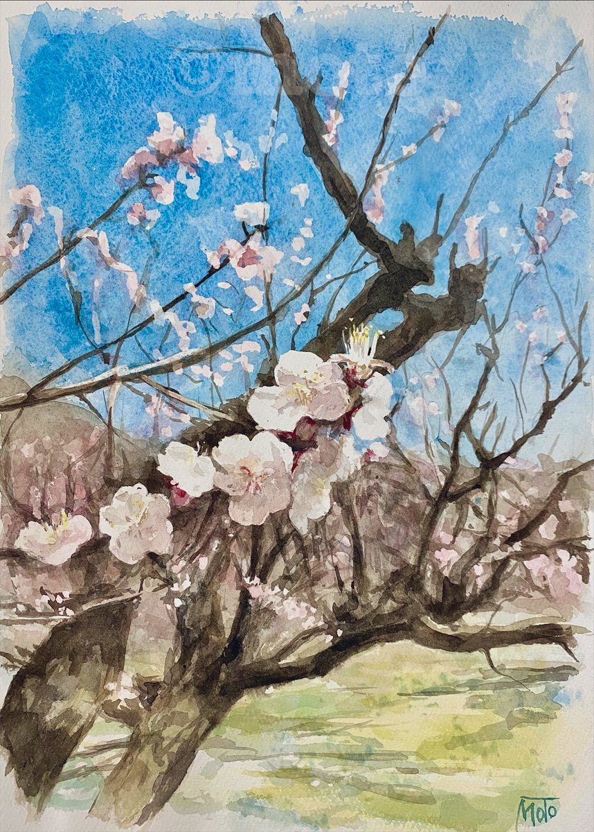 モトジママサユキ tweet media