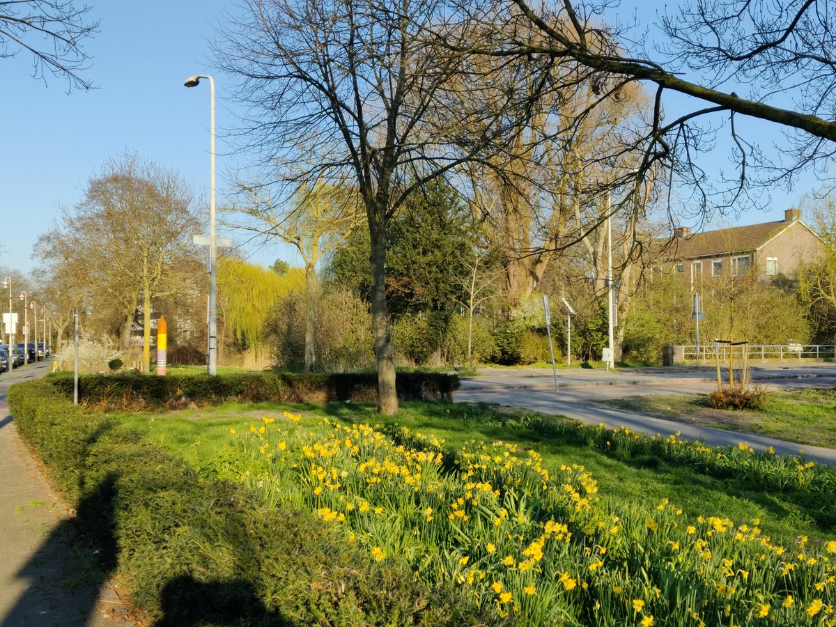 Manna Kloosterman tweet media