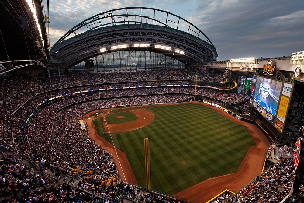 a seal flopping around in san francisco tweet media