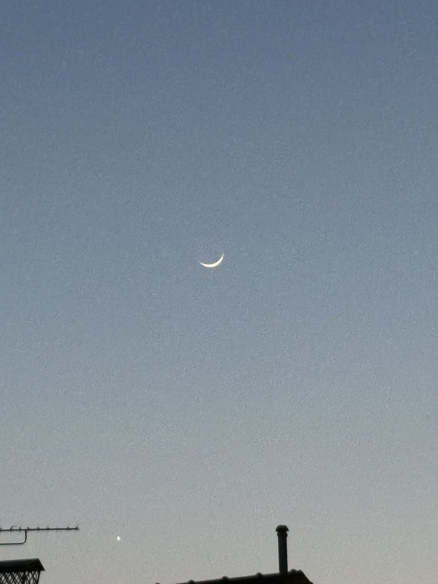 yass🫖 tweet media