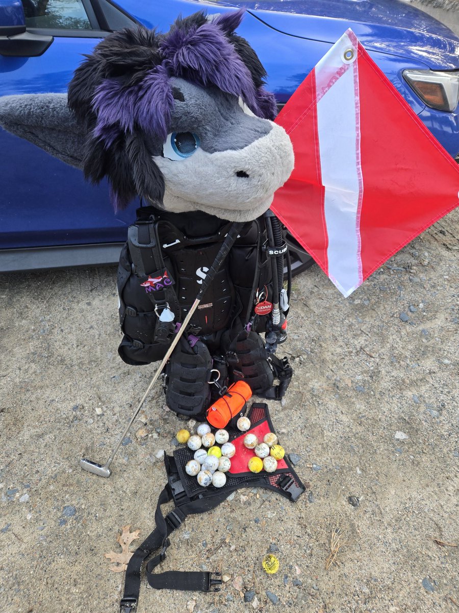 mac_makoshark's tweet photo. Went for a dive in one of my local ponds.... seems like someone had a bad day golfing lol
#furry #scuba #scubapro https://t.co/orBg4Fi0Jg