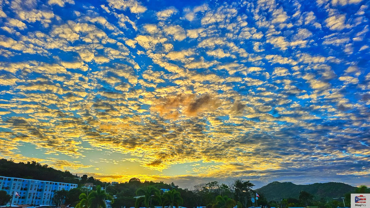 Marcos Quiles tweet media