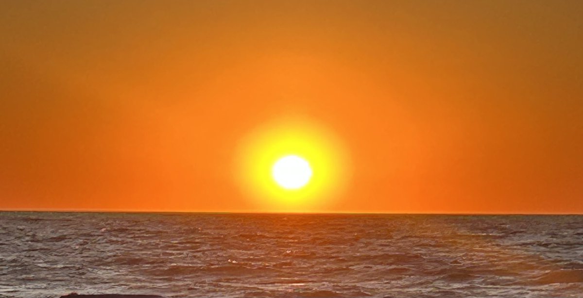 Adrienne tweet media