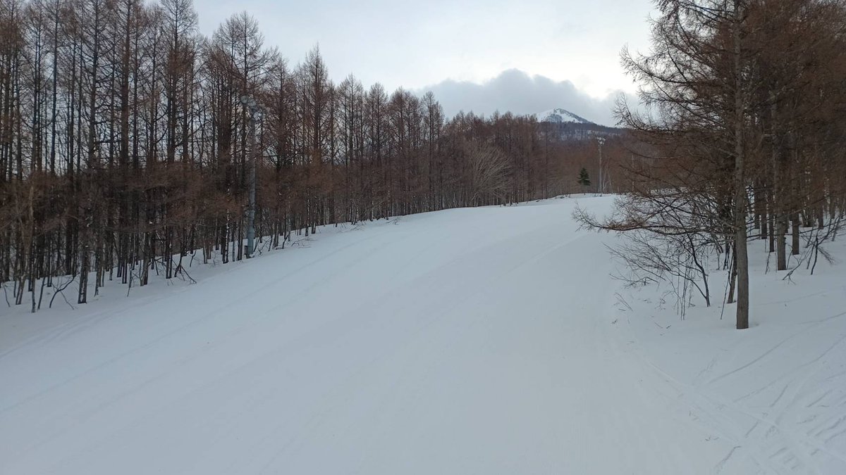 青森スプリング・スキーリゾート tweet media