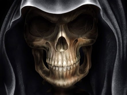 Neil G - Poet tweet media