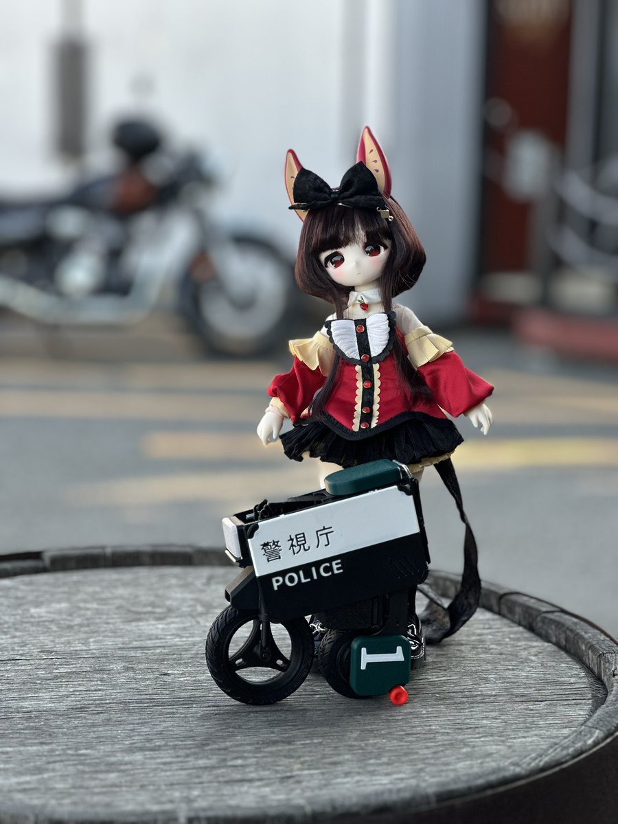 のってぃ tweet media